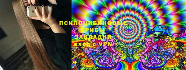 ешки Елизово