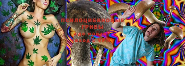 ешки Елизово