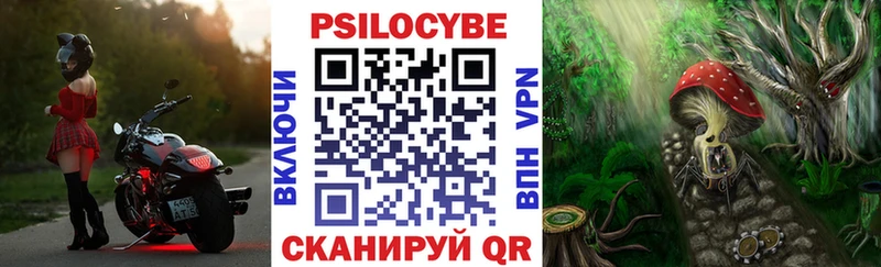 Псилоцибиновые грибы мухоморы  Купить  Нестеров 